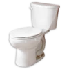 American Standard 2752128.020 – Evolution2 Flowise Rf Combo Wht