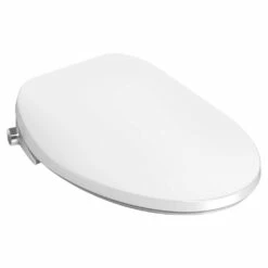 American Standard 8019A60GPC.020 – Aquawash 2.0 Manual SpaLet Bidet Seat